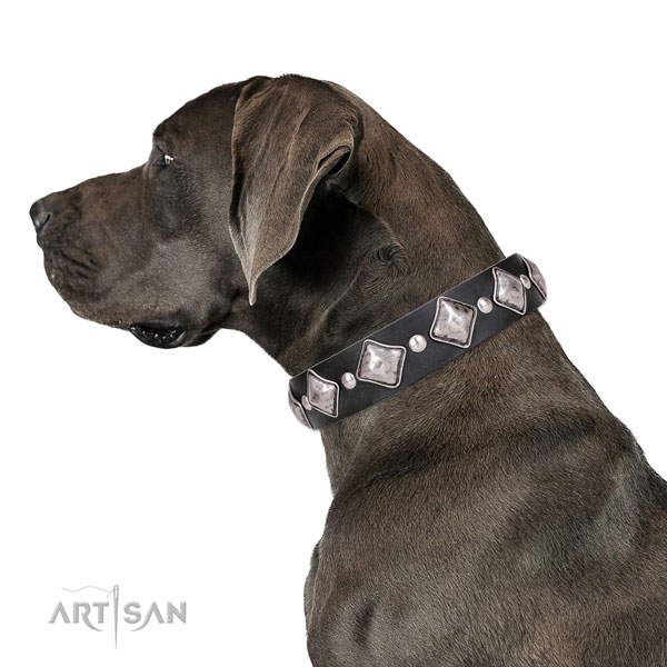 Great Dane easy wearing leather dog collar for walking