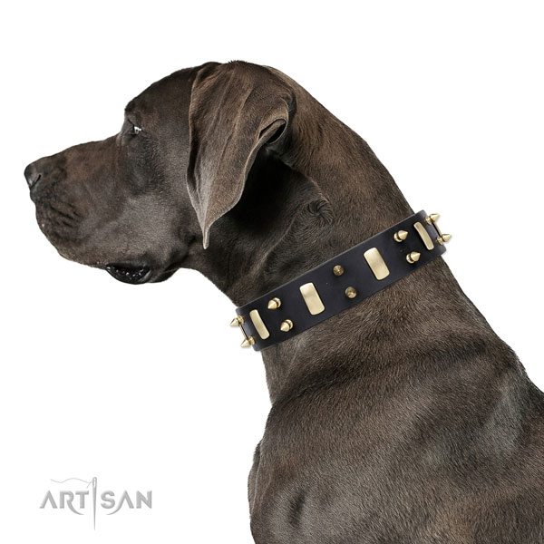 Great Dane top quality leather dog collar for comfy wearing