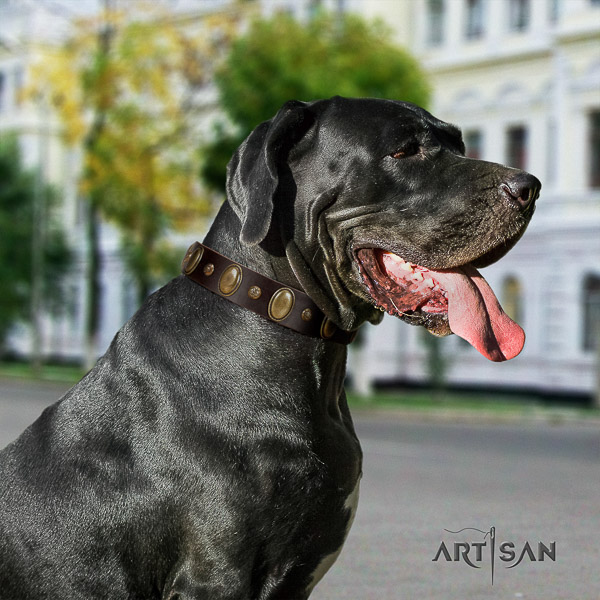 Great Dane basic training genuine leather collar with decorations for your canine