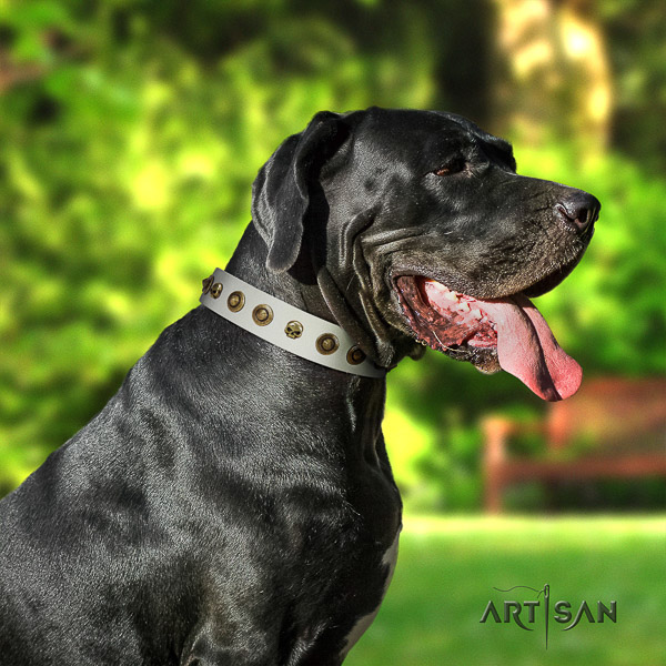 Great Dane handy use leather collar with decorations for your canine