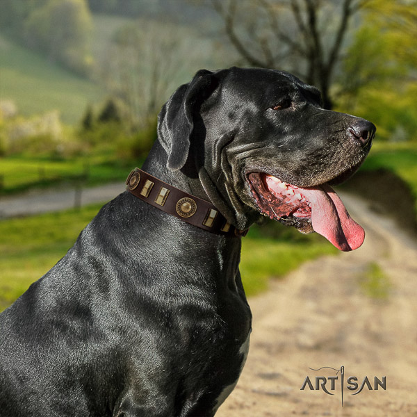 Great Dane handy use full grain natural leather collar with studs for your doggie