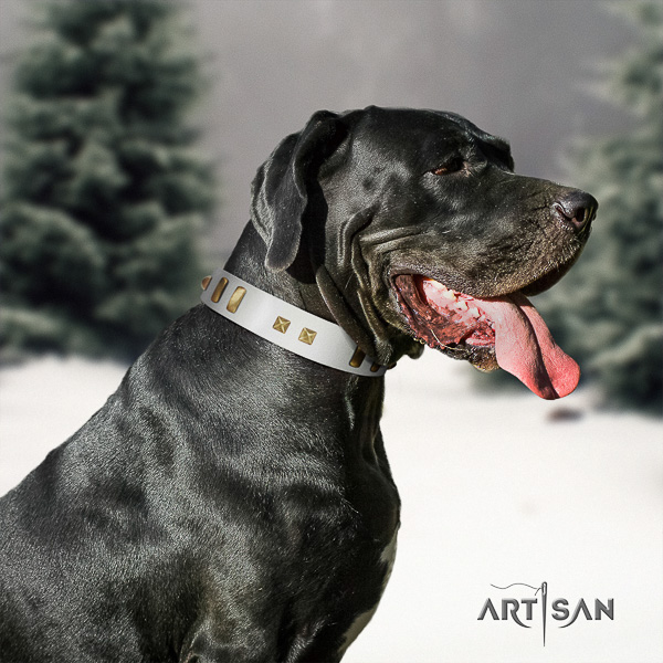 Great Dane everyday use full grain genuine leather collar with decorations for your canine