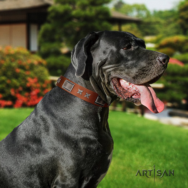 Great Dane amazing full grain genuine leather collar with corrosion proof d-ring