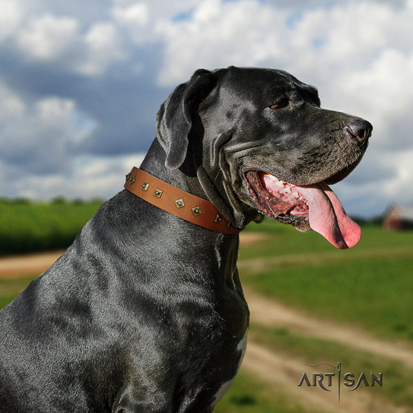 Great Dane convenient genuine leather collar with corrosion proof buckle