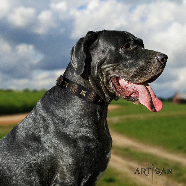 Great Dane stylish walking genuine leather collar with decorations for your canine