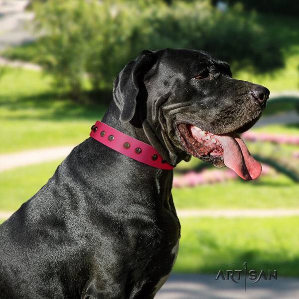 Great Dane perfect fit collar with extraordinary decorations for your four-legged friend