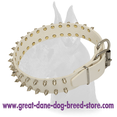 Incredible leather Great Dane collar with old nickel  spikes