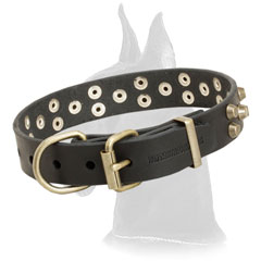 Leather Great Dane Collar with brass hardware