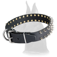 Leather Great Dane Collar for training