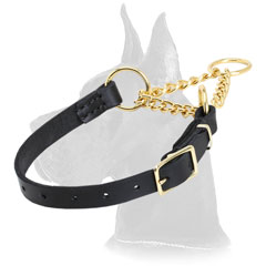 Great Dane Leather Martingale Collar