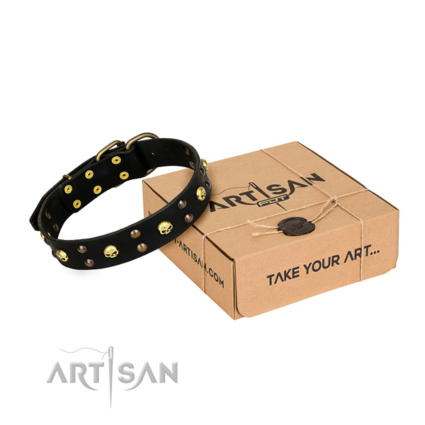 Day-to-day leather dog collar with refined adornments