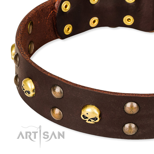 NaturalAwesome leather dog collar for stylish walking