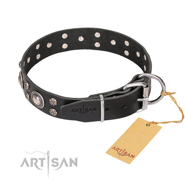Full grain genuine leather dog collar with polished exterior