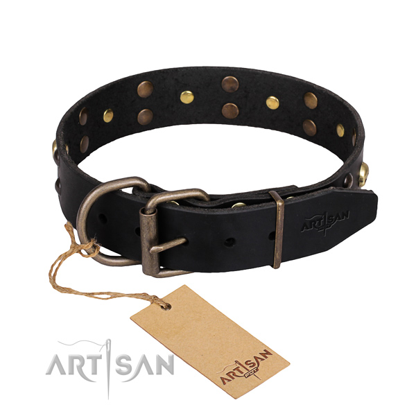 Tough leather dog collar with reliable fittings