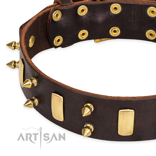 Snugly fitted leather dog collar with extra sturdy brass plated buckle and D-ring