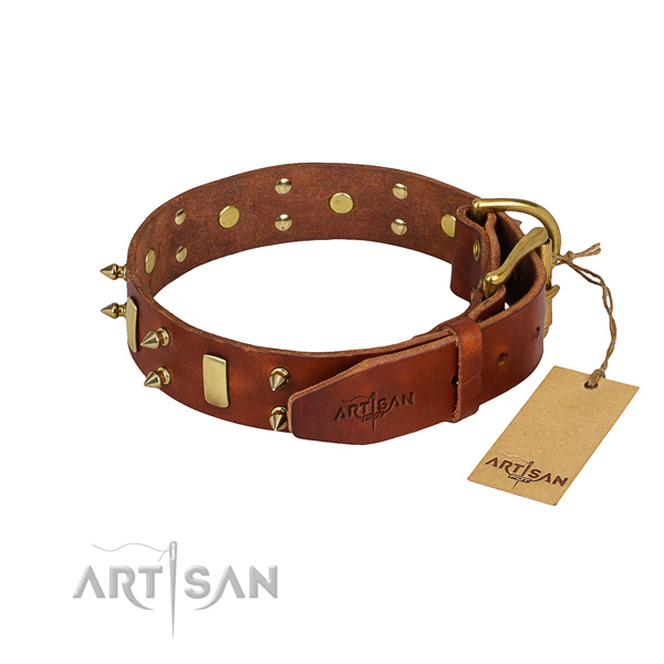 Natural leather dog collar with smoothly polished leather surface