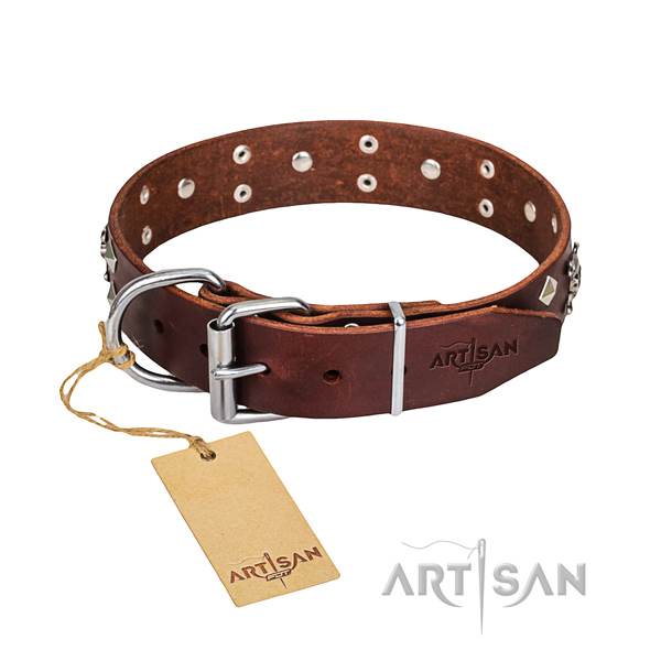 Indestructible leather dog collar with reliable elements