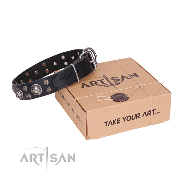 Daily leather dog collar with exceptional embellishments