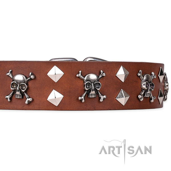 Daily leather dog collar with incredible embellishments