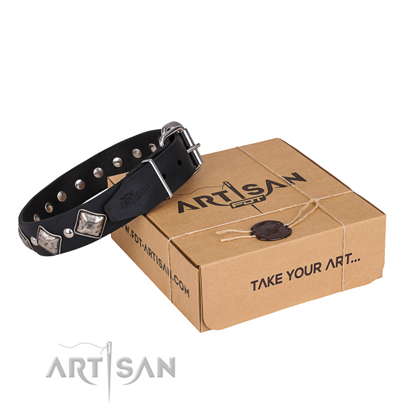 Casual leather dog collar with sensational studs