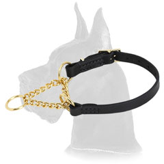 Strong Martingale Collar for Great Dane Training