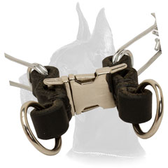 Super Convenient Pinch Collar for Behavior Control