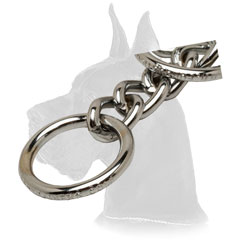 Obedience Training Choke Collar for Great Dane
