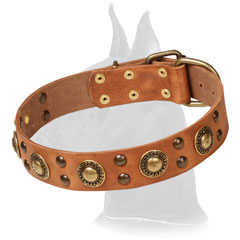 Decorated Tan Leather Collar