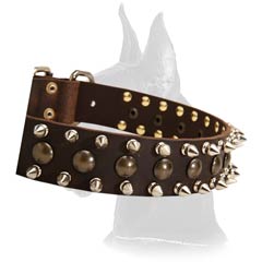 Fashionable Leather Collar