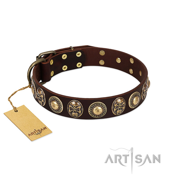 Trendy leather dog collar for stylish walking