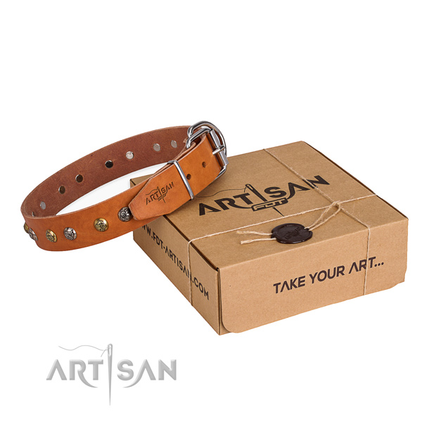 Stylish walking dog collar with Unique corrosion resistant studs