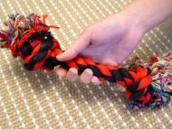 2-Knot Fiber Bone for Great Dane