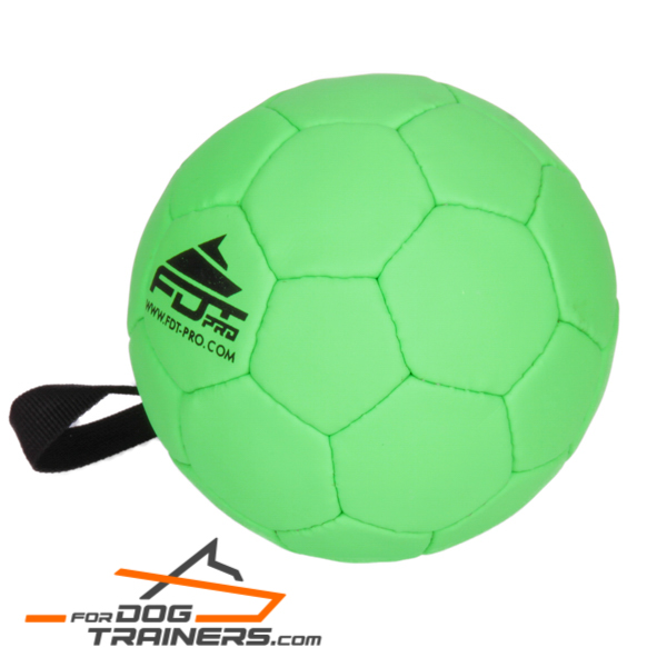 Amazing Dog Ball 