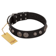 "Tricky Ricky" FDT Artisan Black Leather Great Dane Collar Adorned with Silver-Like Conchos