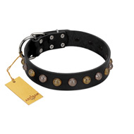 "Inky Prettification" FDT Artisan Black Leather Great Dane Collar with One Row of Studs
