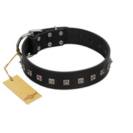 "Natural Beauty" Premium Quality FDT Artisan Black Designer Great Dane Collar with Dotted Studs