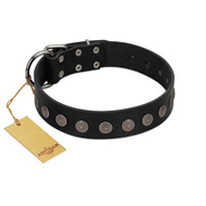 "Silent Star" Handmade FDT Artisan Designer Black Leather Great Dane Collar with Engraved Plates