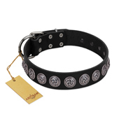 "Black Raven" Handmade FDT Artisan Black Leather Great Dane Collar with Silver-Like Adornments