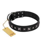"Polar Lights" Designer FDT Artisan Black Leather Great Dane Collar with Silver-Like Studs