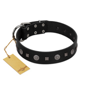 "Mr. Elegance" Designer FDT Artisan Black Leather Great Dane Collar with Silver-Like Studs