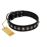 "Black Eagle" Handcrafted FDT Artisan Black Leather Great Dane Collar with Silver-Like Adornments