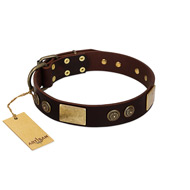 "Bow-Wow Effect" FDT Artisan Brown Leather Great Dane Collar with Plates and Ornate Studs