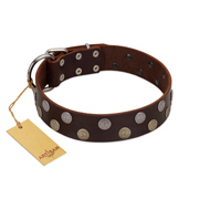 "Shadow Warrior" FDT Artisan Mystic Brown Leather Great Dane Collar with Runes