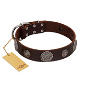 "Flashy Woof" FDT Artisan Brown Leather Great Dane Collar with Chrome Plated Brooches