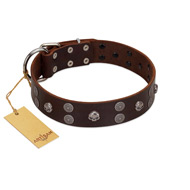"Skull Valley" Handcrafted FDT Artisan Brown Leather Great Dane Collar with Skulls
