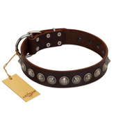 "Gothic Style" FDT Artisan Fancy Brown Leather Great Dane Collar with Silver-Like Decorations