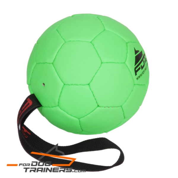 Dog Ball for training