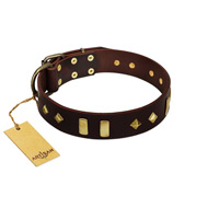 "Blinking Illusion" FDT Artisan Brown Leather Great Dane Collar with Old Bronze-like Studs and Plates