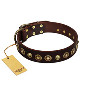 "Street Fashion" FDT Artisan Brown Leather Great Dane Collar Adorned with Circles and Skulls