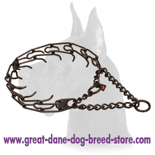 Black Prong Dog Collar of Stainless Steel